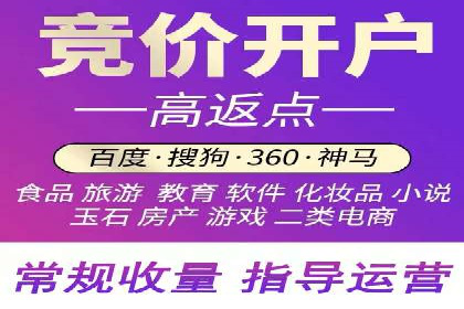 SEM推广案例：揭秘高ROI背后的策略与实践
